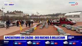 Apiculteurs en colère: une opération coup de poing sur la place Bellecour