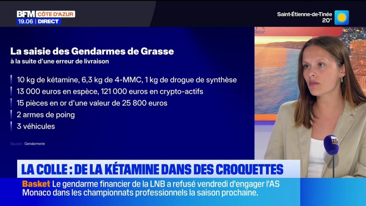 De la kétamine dissimulée dans des paquets de croquettes !