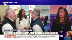Karine Le Marchand: "Ça fait 16 ans que j'associe mon visage à l'agriculture"