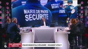 "C’est de l'idéologie à deux balles": à peine lancée, la police municipale d'Anne Hidalgo sous le feu des critiques