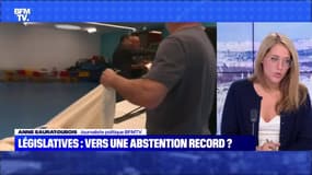 Législatives : vers une abstention record ? - 11/06