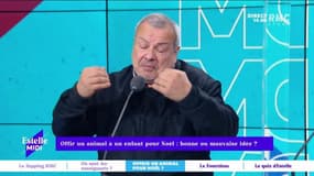 Offrir un animal à un enfant pour Noël : bonne ou mauvaise idée ? - 14/12