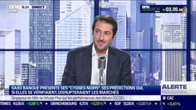 Saxo Banque présente ses "cygnes noirs", ses prédictions qui, si elles se vérifiaient, disrupteraient les marchés - 05/12