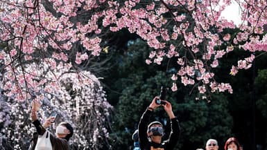 Des personnes prennent des photos dans le parc Ueno pour voir les cerisiers en fleurs à Tokyo, le 14 mars 2023. 