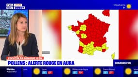 Auvergne-Rhône-Alpes: alerte rouge aux pollens