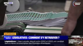 7 MINUTES POUR COMPRENDRE - Alliances, enjeux, dates... Comment s'y retrouver dans ces élections législatives 