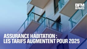  Assurance habitation : les tarifs augmentent pour 2025 