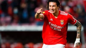 Darwin Nunez - Benfica 