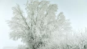 Un paysage hivernal (illustration)