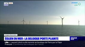 Éolien en mer: la Belgique porte plainte auprès de la Commission européenne