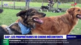 Gap: les chiens interdits d'être promenés dans laisse, les propriétaires mécontents