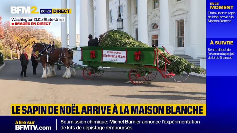 États-Unis: le sapin de Noël est arrivé à la Maison blanche à bord d'une calèche