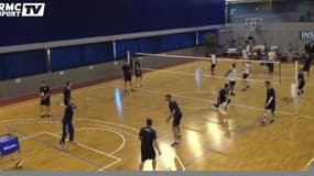 Volley : le nouveau statut de l'équipe de France 