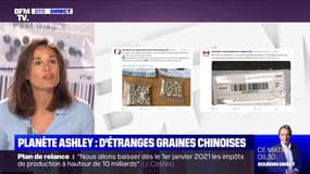 Planète Ashley - Le mystère des graines de Chine envoyées à de nombreux particuliers