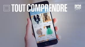 La DGCCRF a obtenu le déréférencement de Wish ce mercredi.