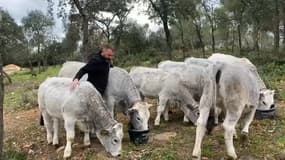 "Je suis à deux doigts d'arrêter": agriculteur depuis 10 ans, Mathieu est obligé d'avoir un second travail pour vivre