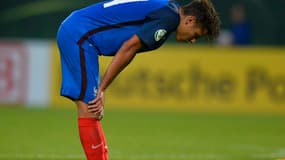 Amine Harit