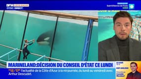 Marineland d'Antibes: le Conseil d'État rend sa décision sur le transfert des orques ce lundi