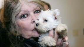 Brigitte Bardot avec un chiot, le 28 décembre 2005 à Nice.