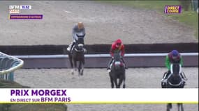 Courses hippiques: revivez le prix Morgex R1C7 à l'hippodrome d'Auteuil