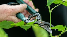 3 produits jardin parfaits pour entretenir votre extérieur pour cet été