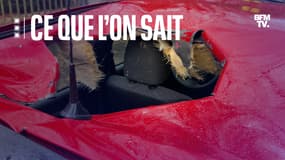 Ce que l'on sait sur la voiture transpercée par une possible météorite à Strasbourg, le 20 novembre 2023.