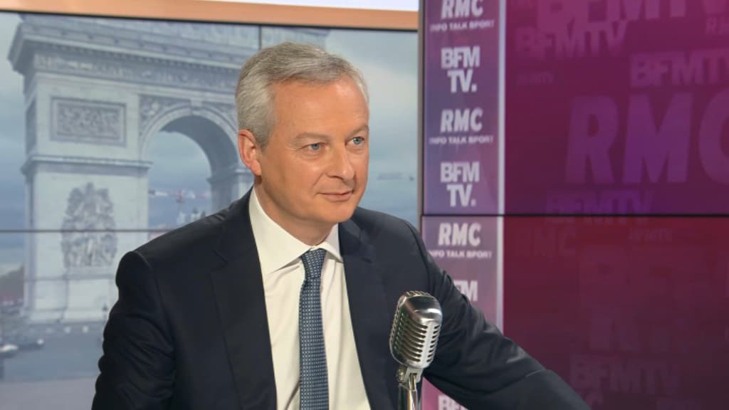 EN DIRECT - Vaccins anti-Covid: Le Maire promet que "tout l'argent nécessaire sera disponible"