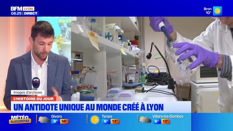 Un antidote unique au monde contre la ricine conçu à Lyon