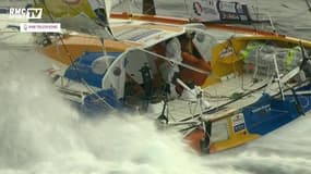 Vendée Globe - Jean-Pierre Dick a rencontré des dauphins