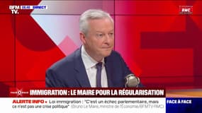 Projet de loi immigration: "Il ne faut pas faire appel à une main-d'œuvre étrangère", estime Bruno Le Maire