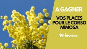 Vos places pour le corso mimosa le 19 février