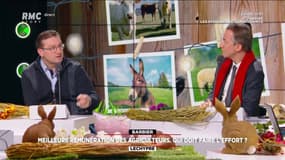 Stéphane Peultier, éleveurs de boeufs de race Slers en Meurthe-et-Moselle, président du groupement de producteurs de l'Apal était l'invité de "Neumann-Lechypre" spécial agriculture sur RMC et RMC Story