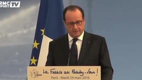 Euro 2016 - Hollande : "Des consignes strictes pour l'accès aux fan-zones"