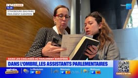Dans les coulisses du Parlement Européen : zoom sur le travail des assistants parlementaires