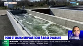 Port-Saint-Louis: une entreprise recycle les algues vertes en plastique