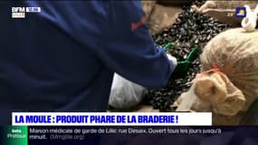 Braderie de Lille 2021: la moule, produit phare de l'événement