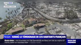"On a eu beaucoup de dons": les Français expatriés à Hawaï racontent l'élan de solidarité sur l'île de Maui après les violents incendies