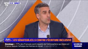 Proposition de loi contre l'écriture inclusive: "Ce n'est pas au législateur de définir ce que doit être le bon ou le mauvais français", pour Yan Chantrel (sénateur PS des Français établis hors de France)