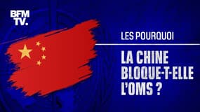 Coronavirus: pourquoi la Chine bloque-t-elle l'arrivée de l'équipe de l'OMS 