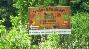 Une exploitation de fruits et légumes dans le Vaucluse en juin 2025. Les dirigeants sont accusés de maltraiter les saisonniers.