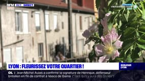Lyon: la ville aide les habitants pour fleurir et verdir leur quartier