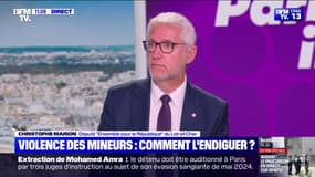 Violence des mineurs: "Il faut prendre conscience que ce n'est pas seulement un problème français", estime Christophe Marion (Ensemble pour la République)