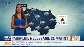 Météo Paris-Île-de-France du 17 janvier: De la pluie ce matin