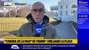 Qu’est-ce que le "Conseil de la paix" créé par Donald Trump ?