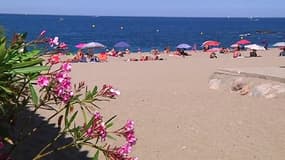 Sans vigilance, la baignade à la plage peut très rapidement virer au cauchemar.