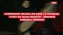 Agressions sexuelles dans le patinage artistique: "C'est du quasi-inceste", dénonce Gwendal Peizerat