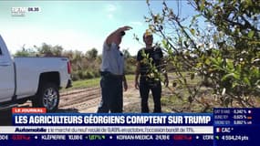 Les agriculteurs géorgiens comptent sur Trump