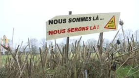 Notre-Dame-des-Landes: comment les zadistes s'organisent face à l'évacuation de la ZAD