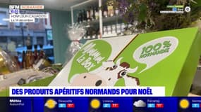 Normandie: lancement de la COP régionale à Caen