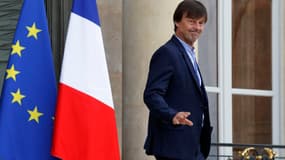 Nicolas Hulot estime qu'EDF peut se revitaliser grâce au renouvelable